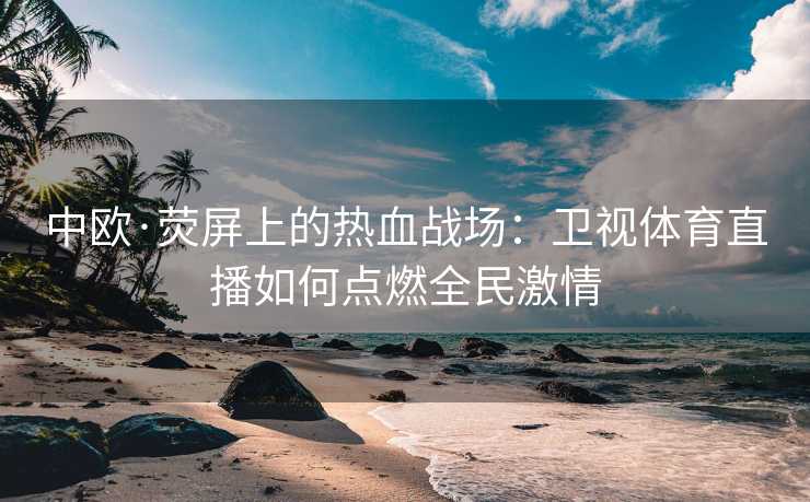 中欧·荧屏上的热血战场：卫视体育直播如何点燃全民激情