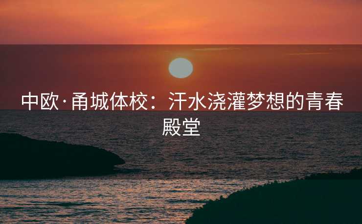 中欧·甬城体校：汗水浇灌梦想的青春殿堂