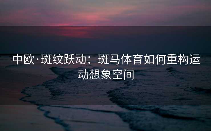 中欧·斑纹跃动：斑马体育如何重构运动想象空间