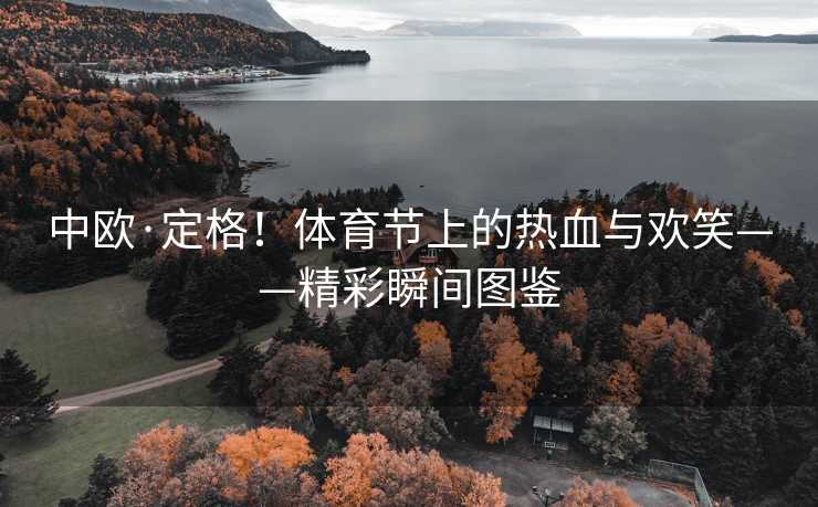 中欧·定格！体育节上的热血与欢笑——精彩瞬间图鉴